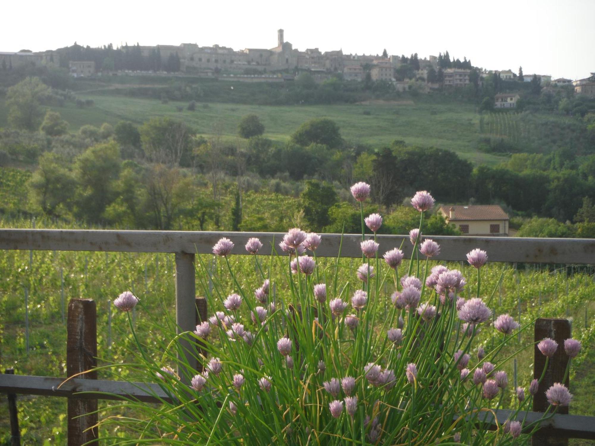 Villa Due Piani Barberino di Val dʼElsa Exterior foto